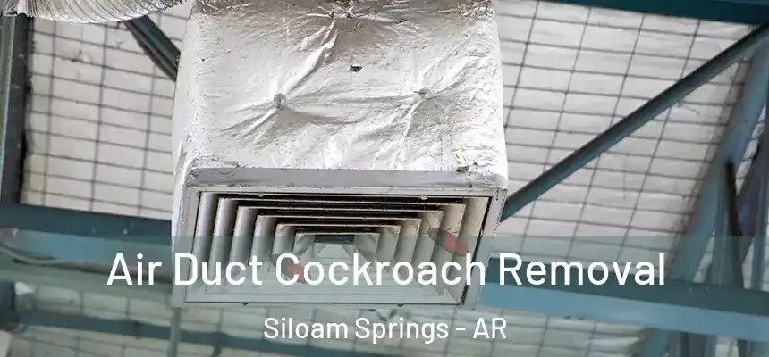  Air Duct Cockroach Removal Siloam Springs - AR