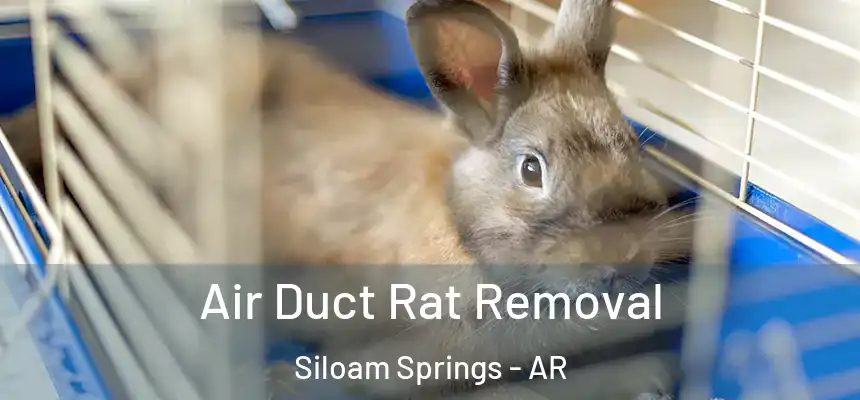  Air Duct Rat Removal Siloam Springs - AR