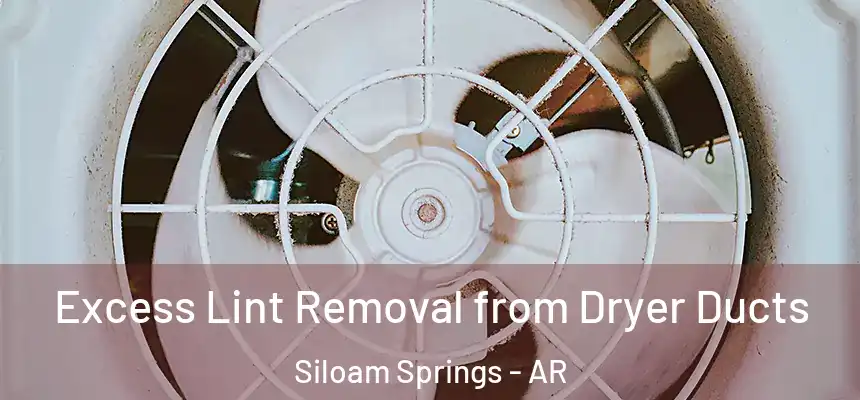  Excess Lint Removal from Dryer Ducts Siloam Springs - AR