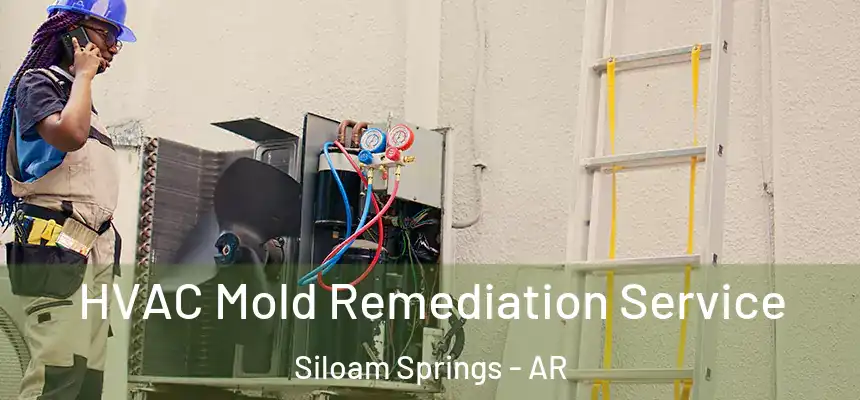  HVAC Mold Remediation Service Siloam Springs - AR