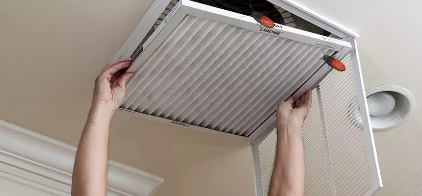Our Insect Removal from Air Ducts Services in Siloam Springs, AR