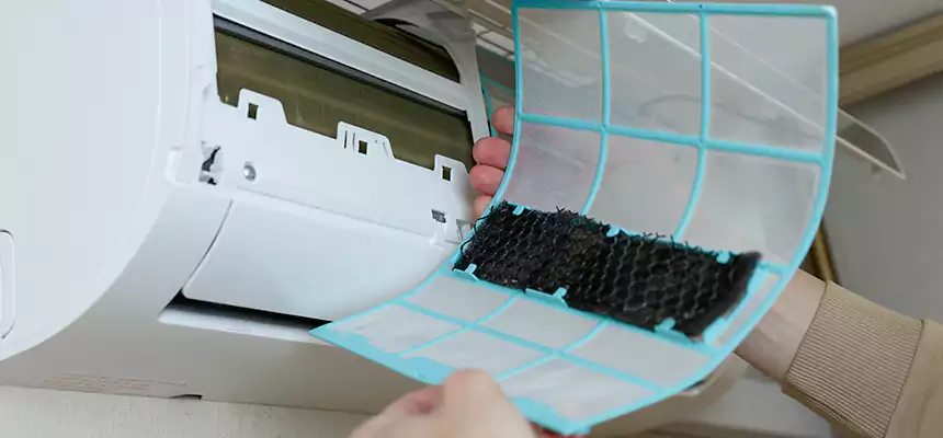 Gentle Ductwork Odor-Control Pet Dander Duct Cleaning in Siloam Springs, AR