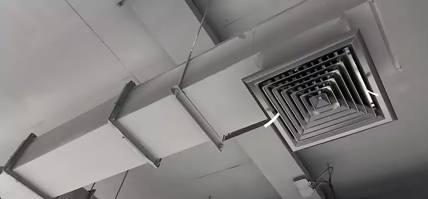 Our Rodent Droppings In Vents Services in Siloam Springs, AR