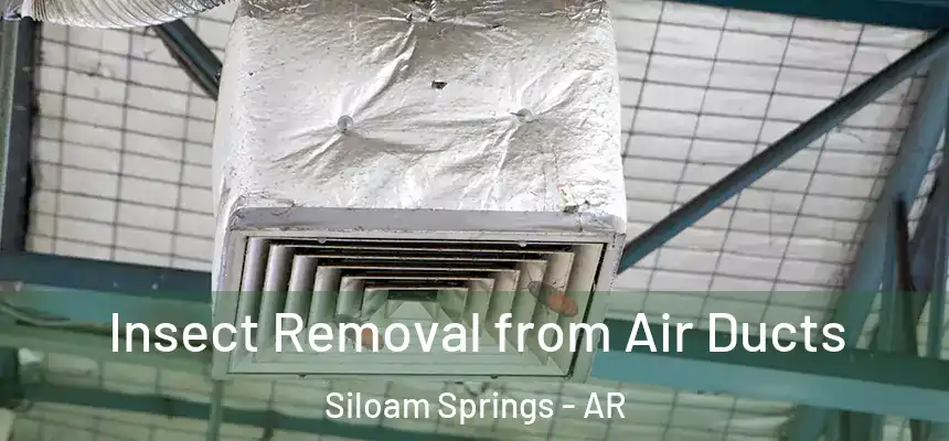 Insect Removal from Air Ducts Siloam Springs - AR