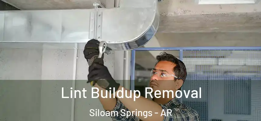  Lint Buildup Removal Siloam Springs - AR