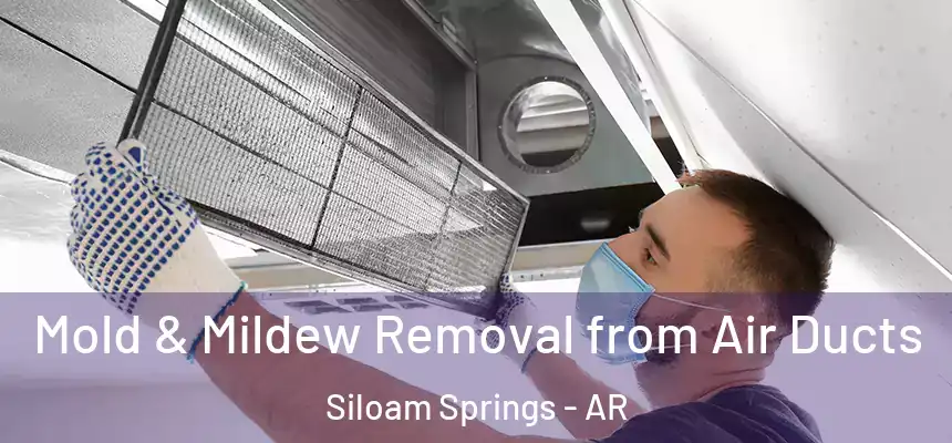  Mold & Mildew Removal from Air Ducts Siloam Springs - AR