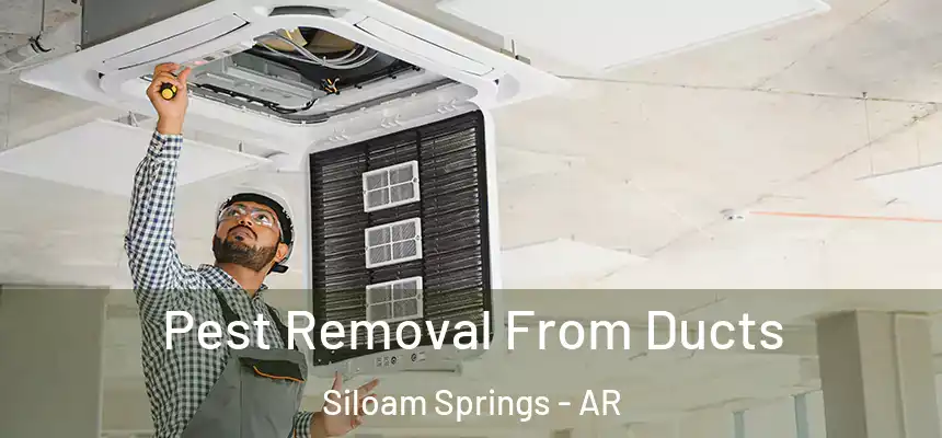  Pest Removal From Ducts Siloam Springs - AR