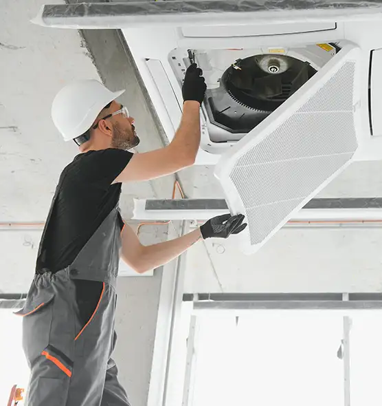 About Air Duct Rodent Removal in Siloam Springs, AR