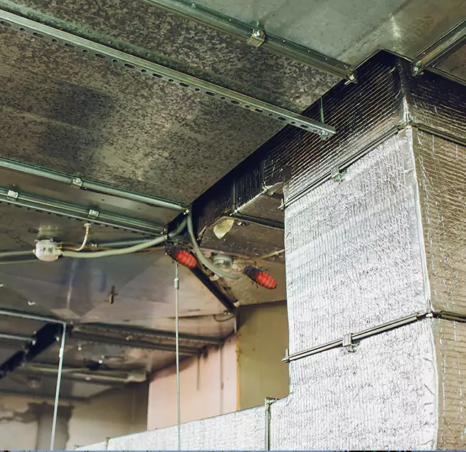 Why Homeowners & Businesses Trust Us in Siloam Springs, AR?