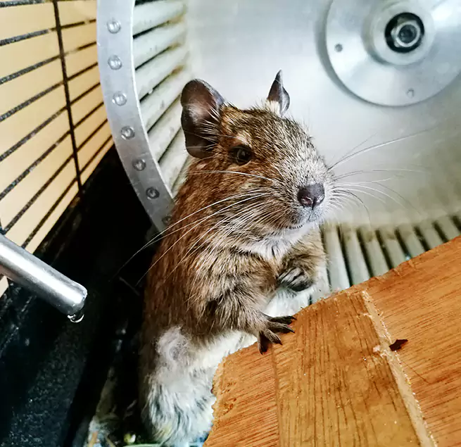 Why Homeowners & Businesses Trust Us Siloam Springs, AR