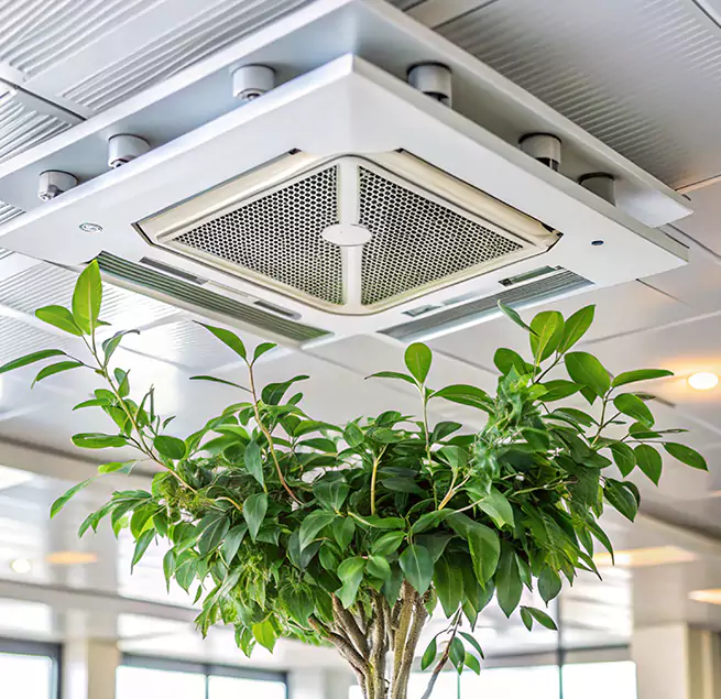 Why Homeowners & Businesses Trust Us in Siloam Springs, AR?